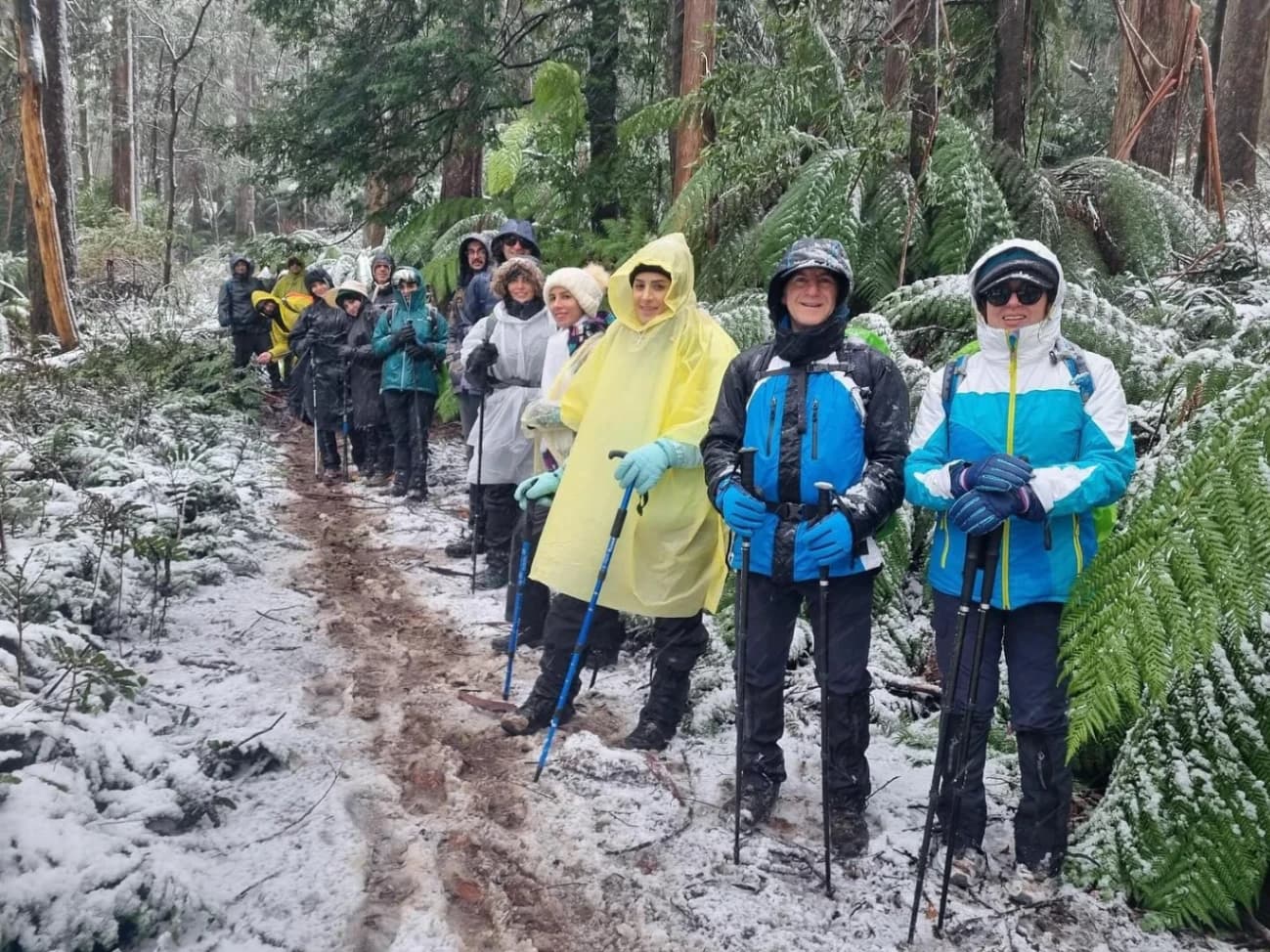 Walking the White Path in Warburton