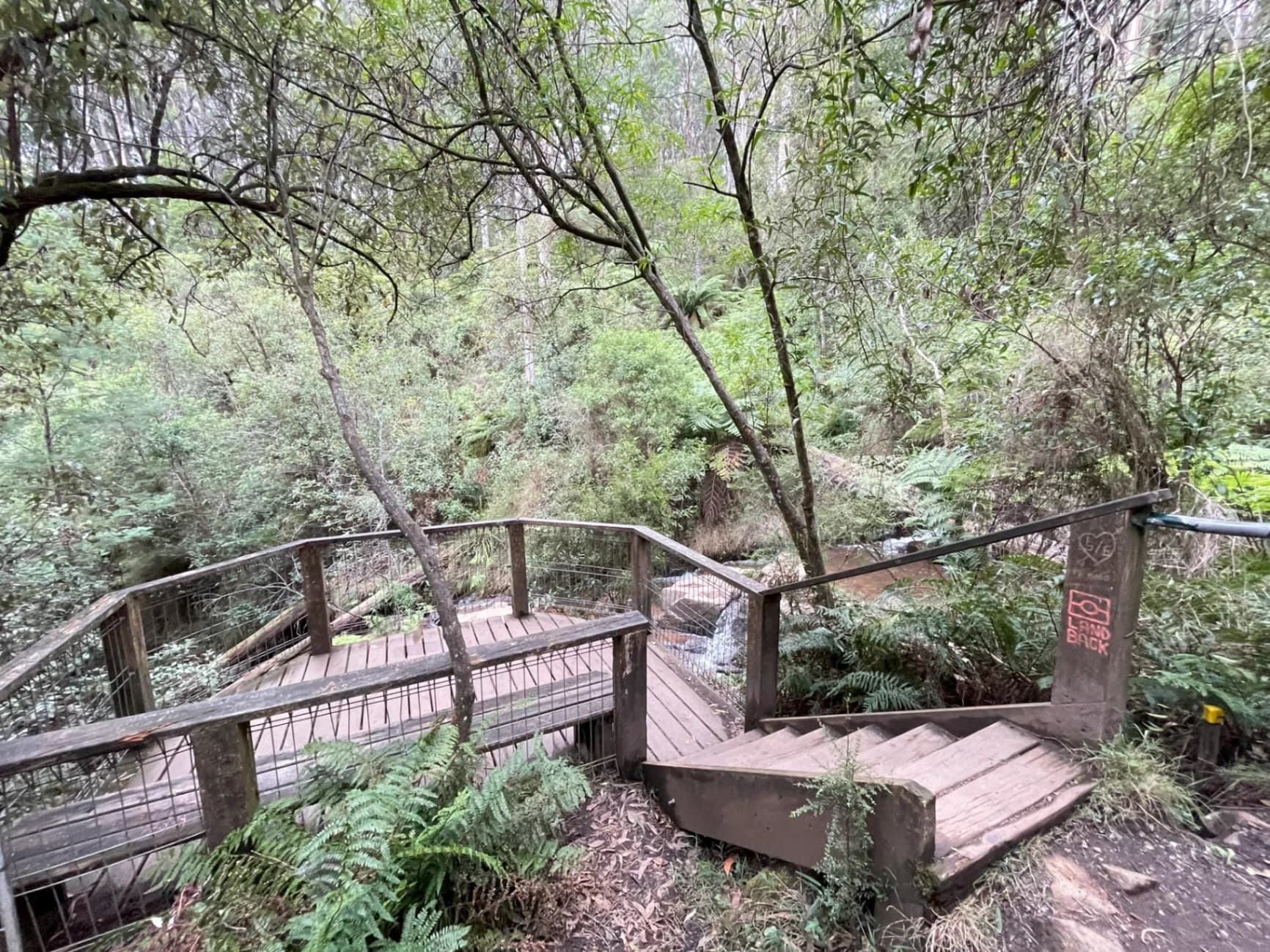 Olinda Falls loop from Mount Dandenong
