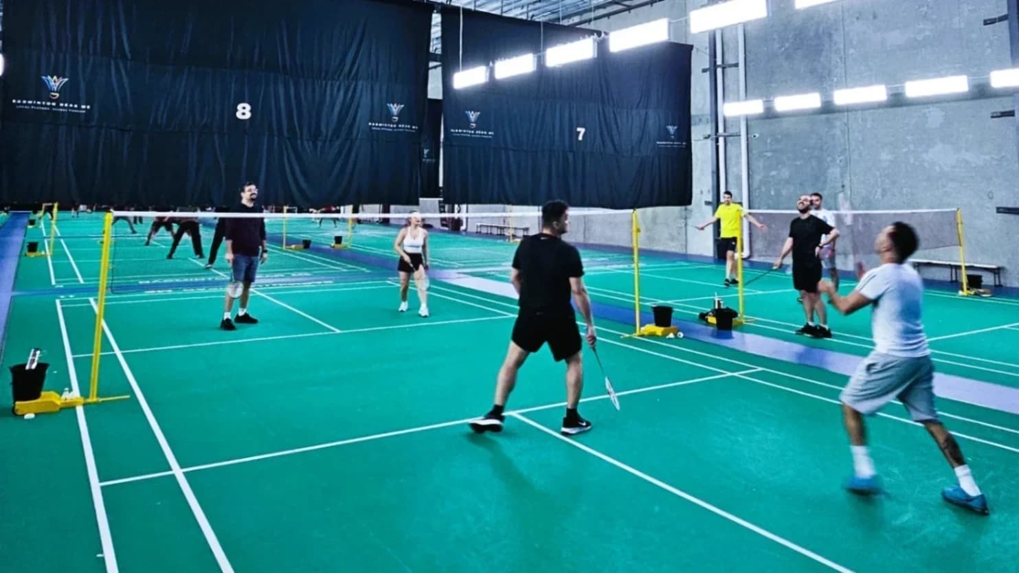 Badmintonn(007)