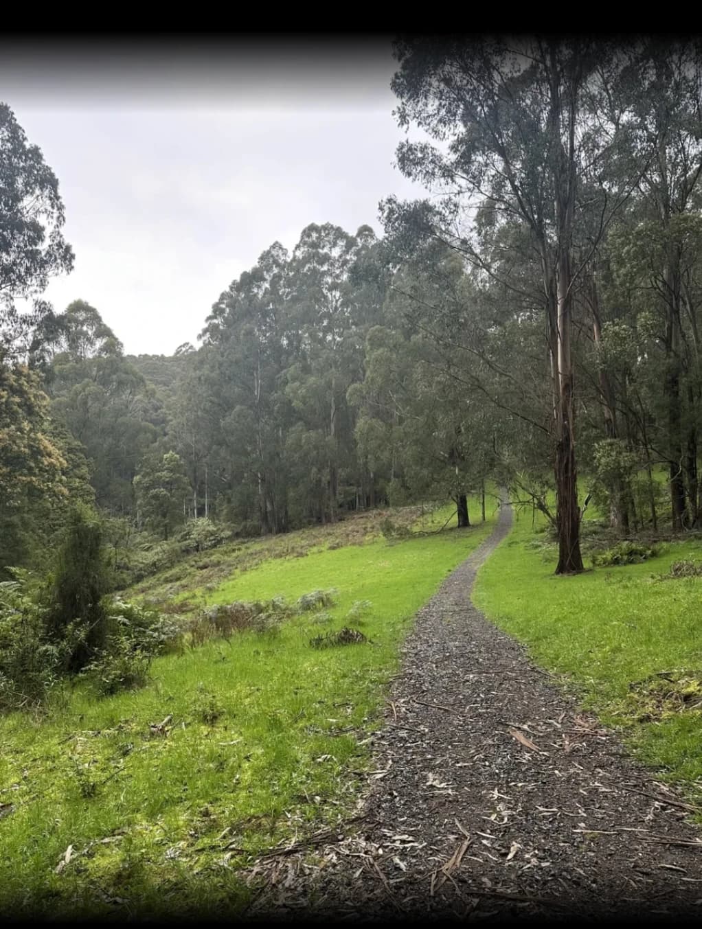 Eagle's Nest Walk