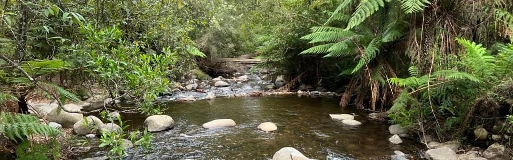 Upper Yarra Walking Track From Starling Gap