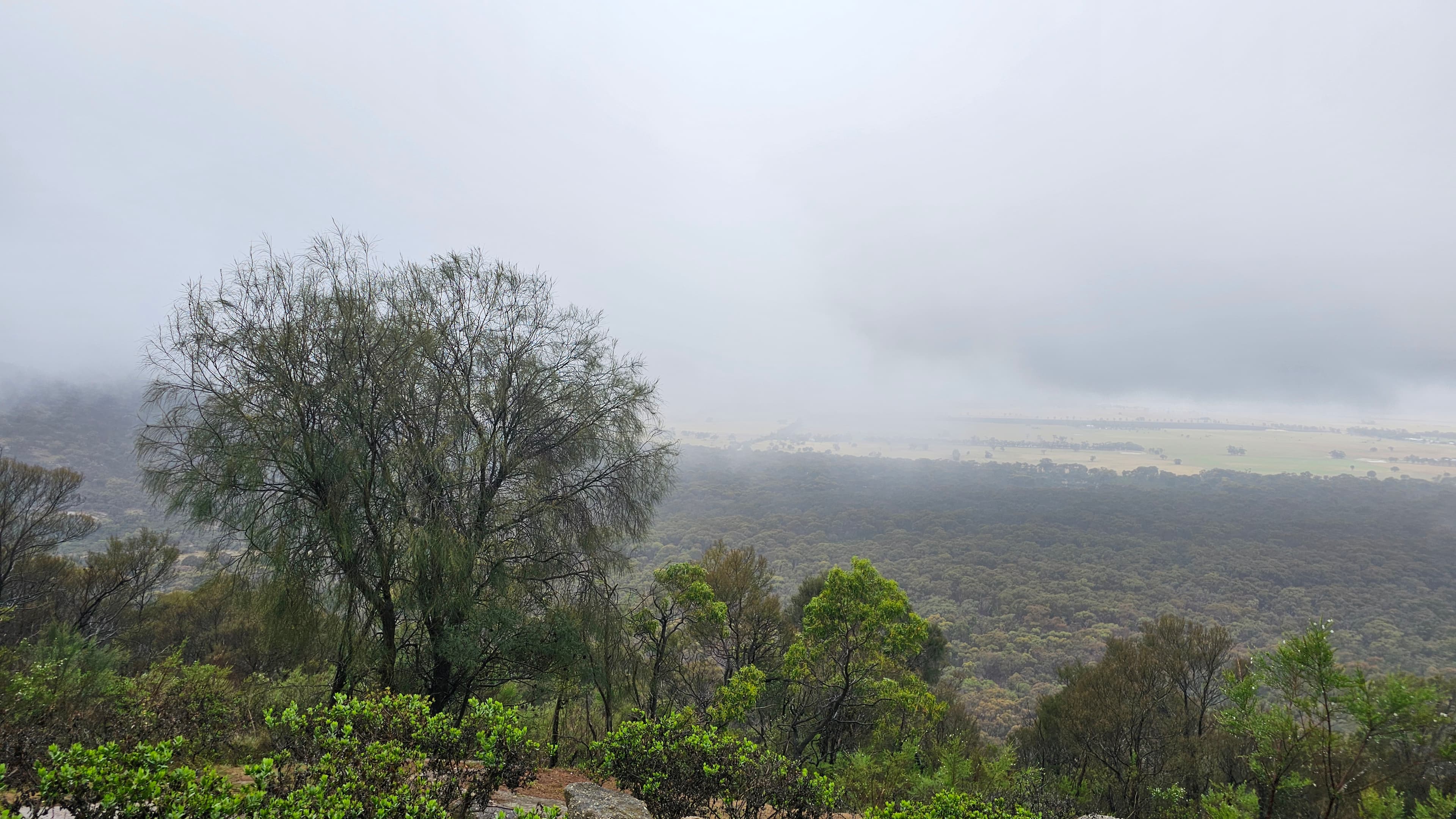 Flinders, West, Northern