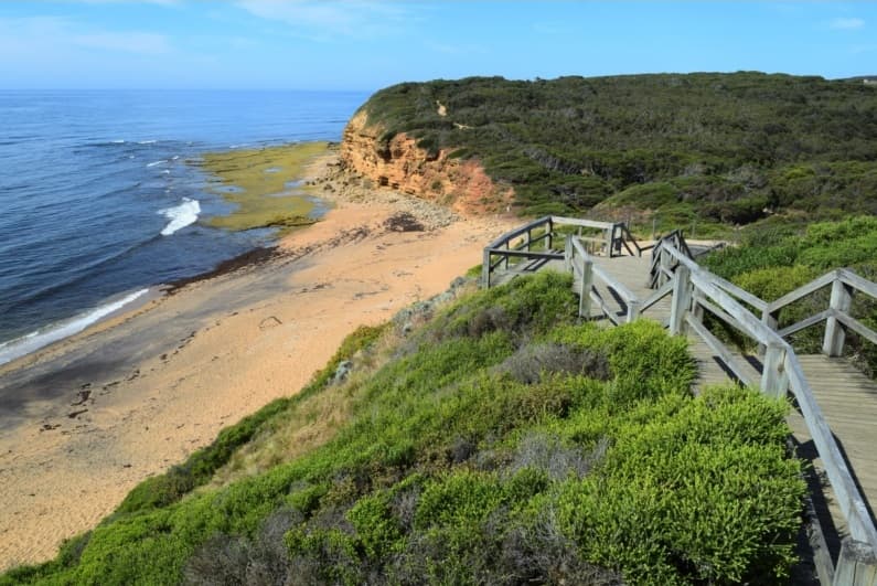 Coastal Walk, Anglesea to Point Addis & Bells Beach