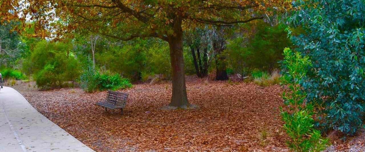 Anniversary trail-Gardiners Creek loop
