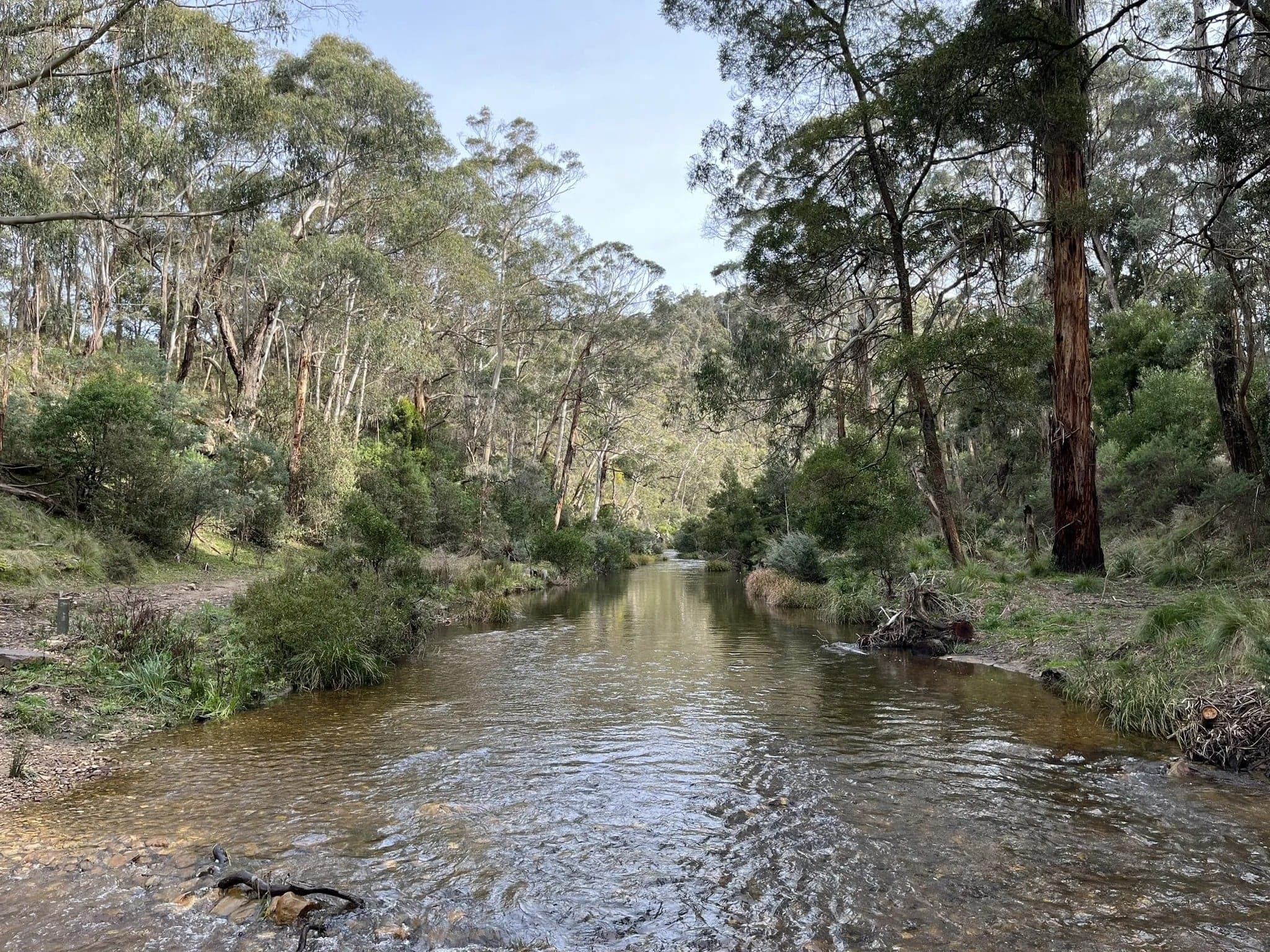 Lerderderg State Park - East Walk and Cowan Track Grade 4